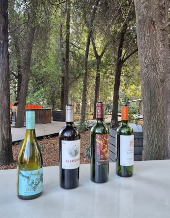 degustação centro del vino